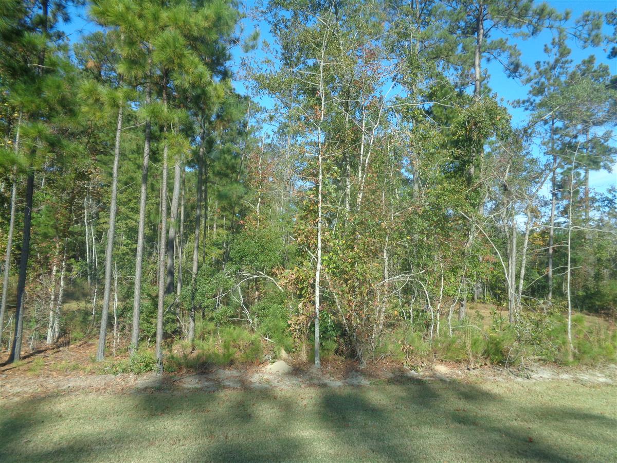 Berkeley County Unofficial Property Card